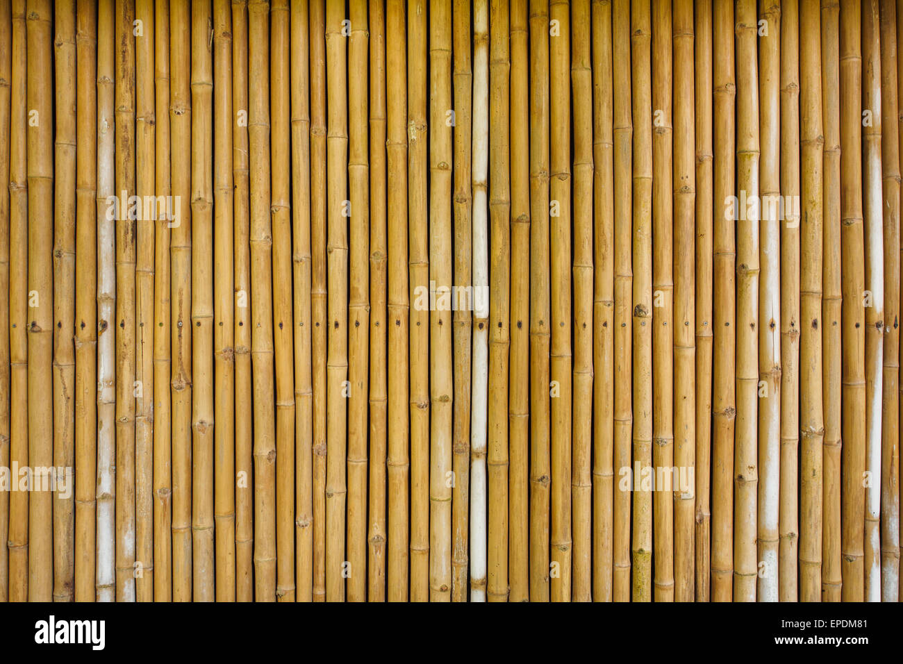bamboo fence background Stock Photo