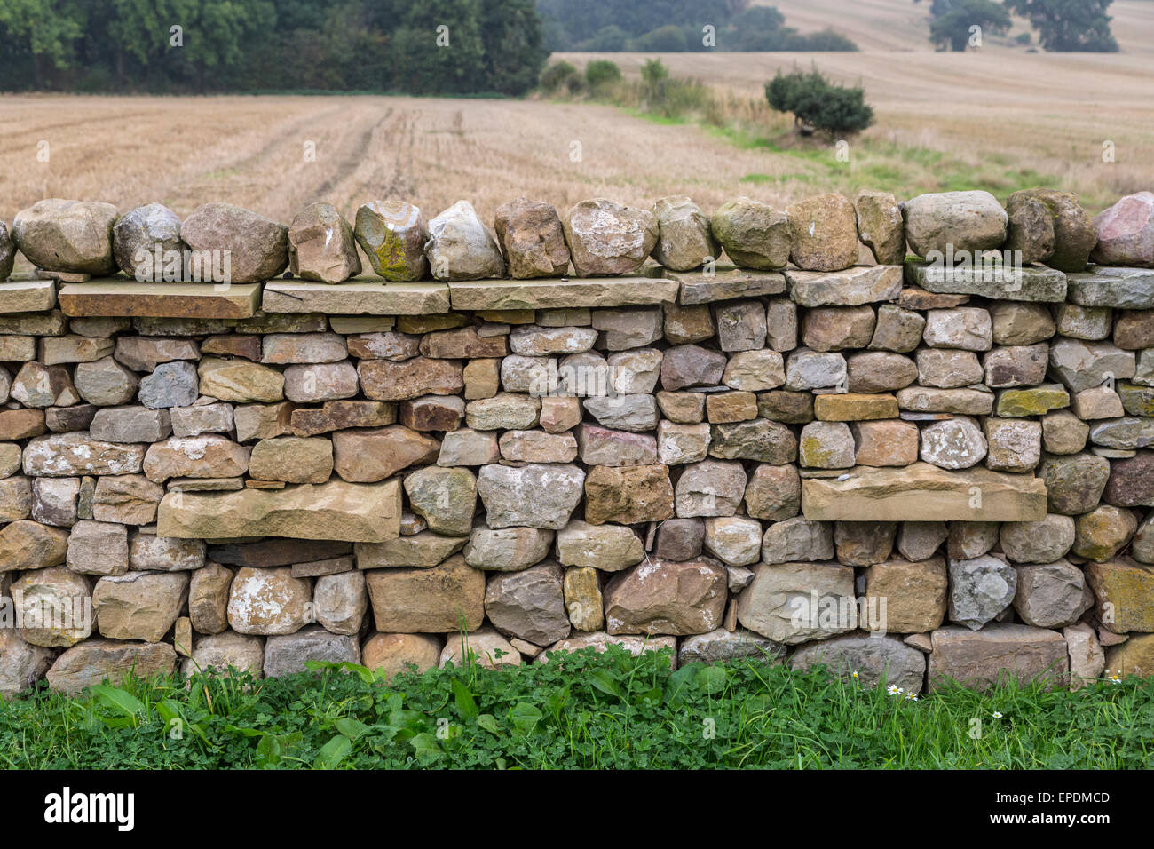 UK, England, Yorkshire.  Stone Wall, Farmland in Background. Stock Photo