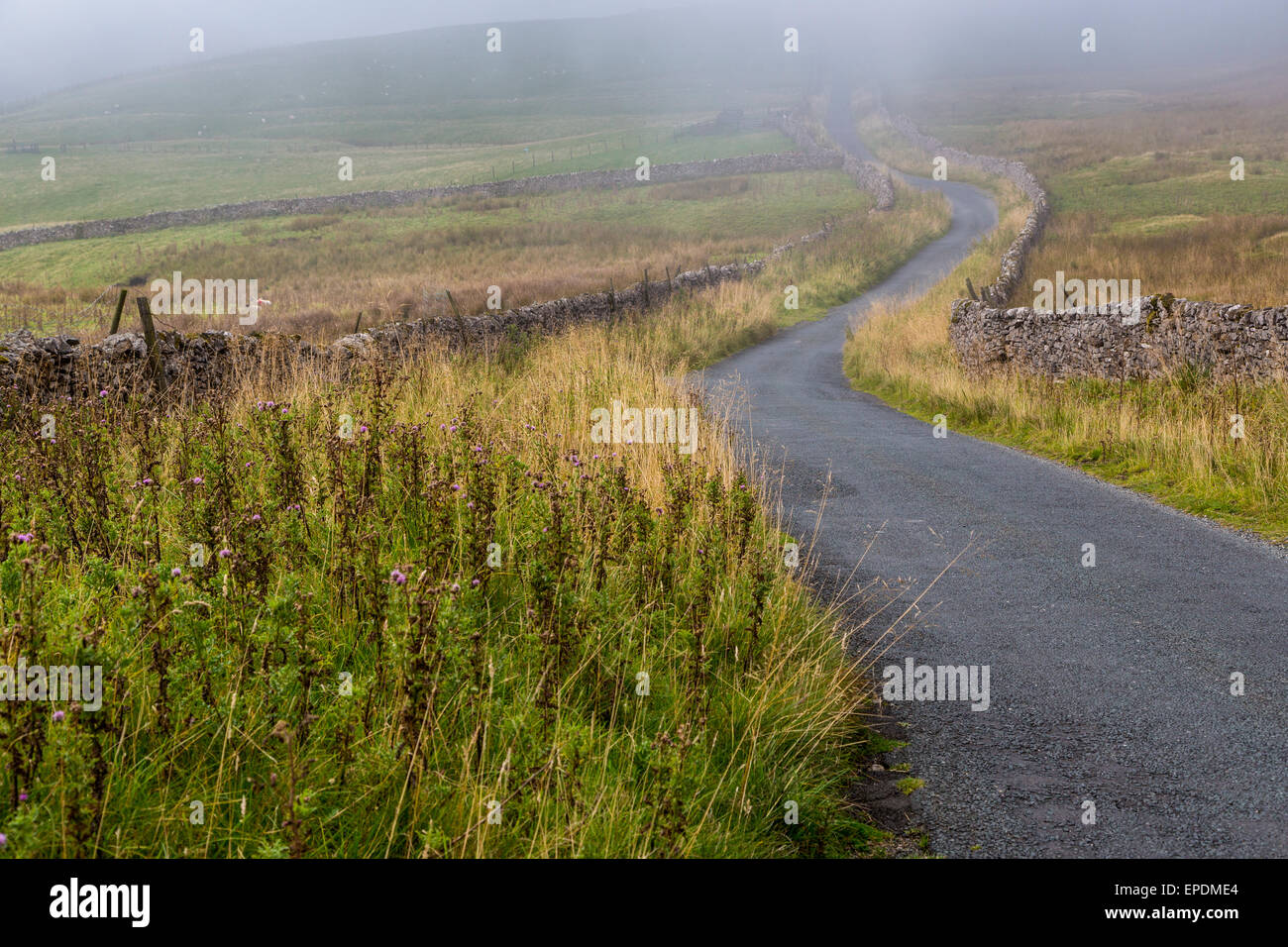 UK, England.  Yorkshire Dales Roadway in the Autumn Mist. Stock Photo
