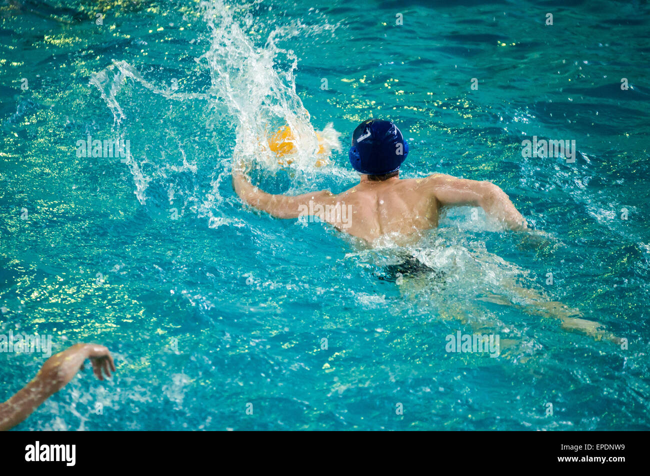 Water polo is a team water sport Stock Photo Alamy