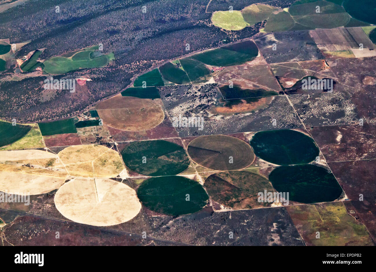 Farming circles in Central California Stock Photo