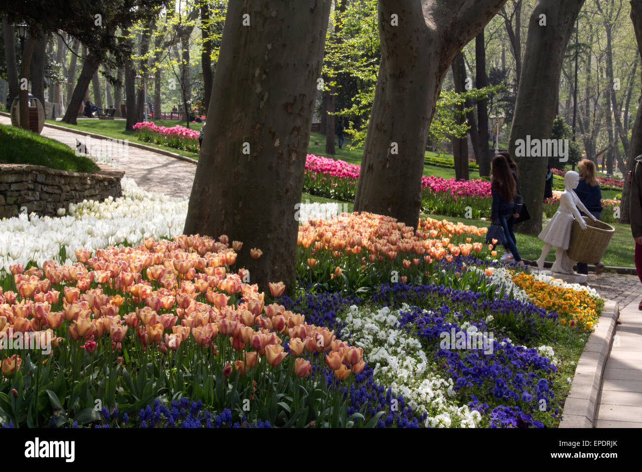 Gulhane Park Istanbul High Resolution Stock Photography And Images Alamy