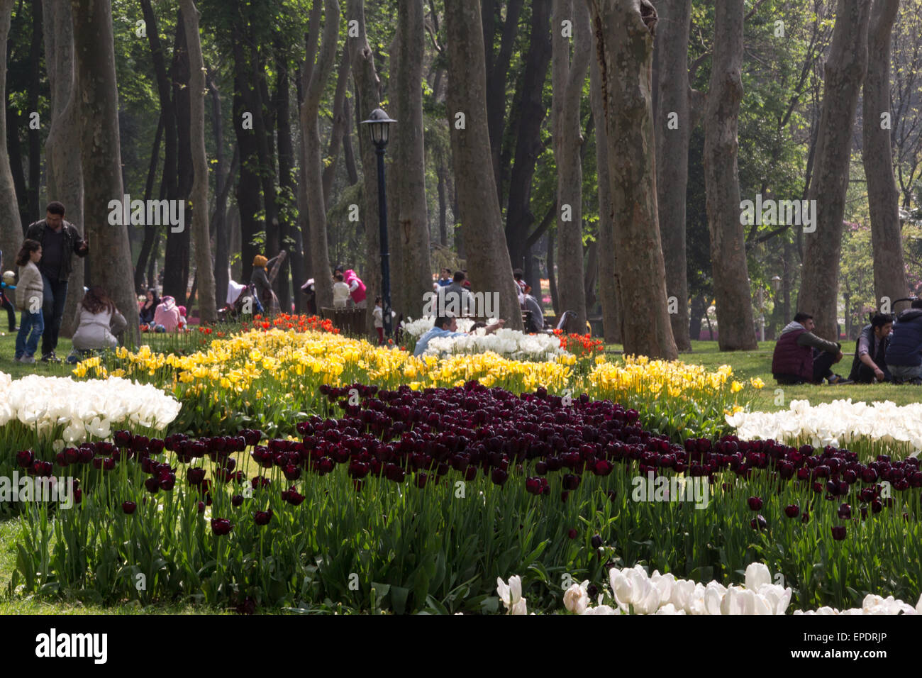 Gulhane Park Istanbul High Resolution Stock Photography And Images Alamy