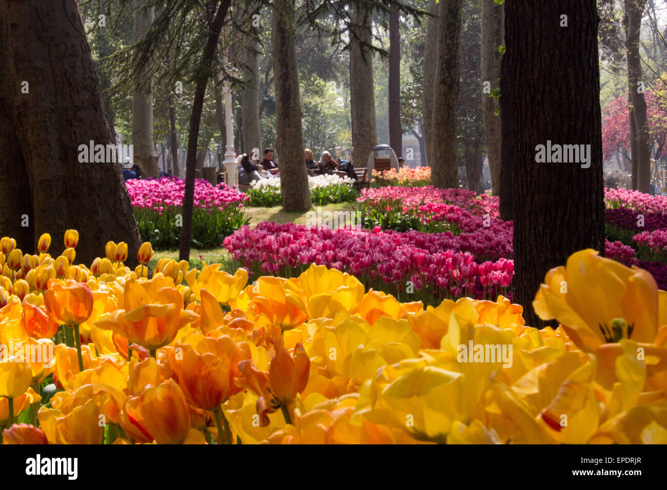 Gulhane Park Istanbul High Resolution Stock Photography And Images Alamy