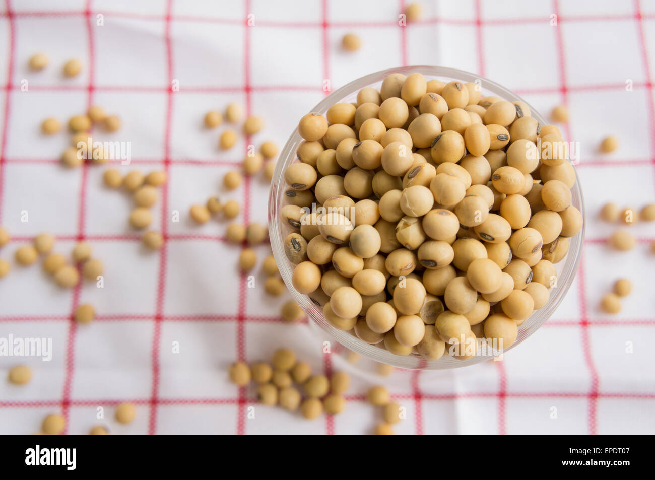 soy-bean-milk-yellow-soybean-isolated-grain-vegen-stock-photo-alamy