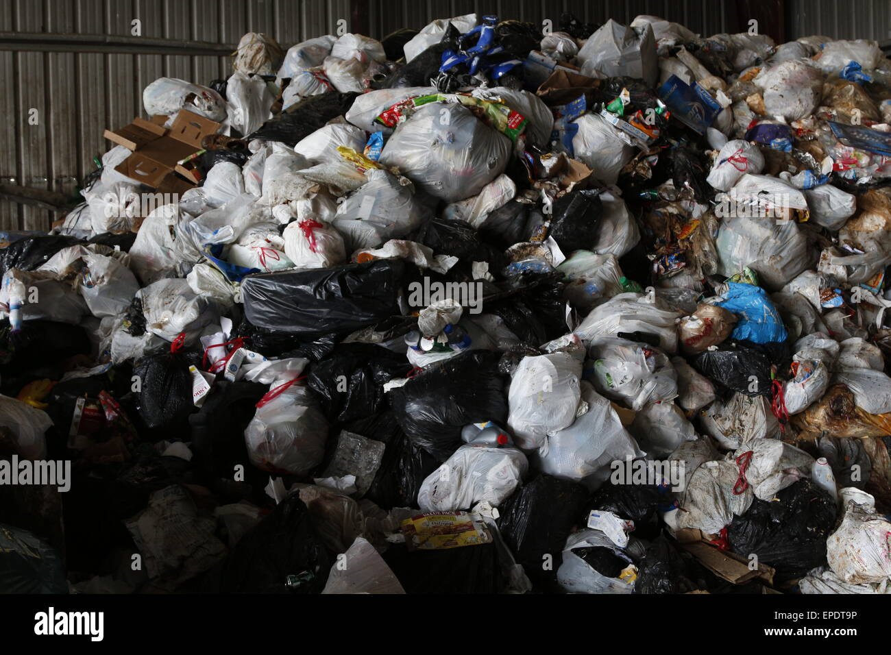 a pile of garbage bags lying on grass a garbage bin and a pile of cut  papaya tree Stock Photo - Alamy