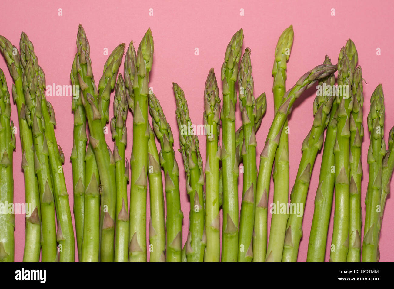 Asparagus spears on a bright pink background Stock Photo