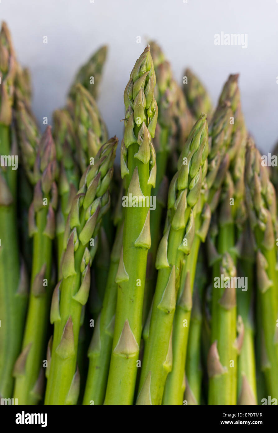 Close-up of asparagus spears Stock Photo