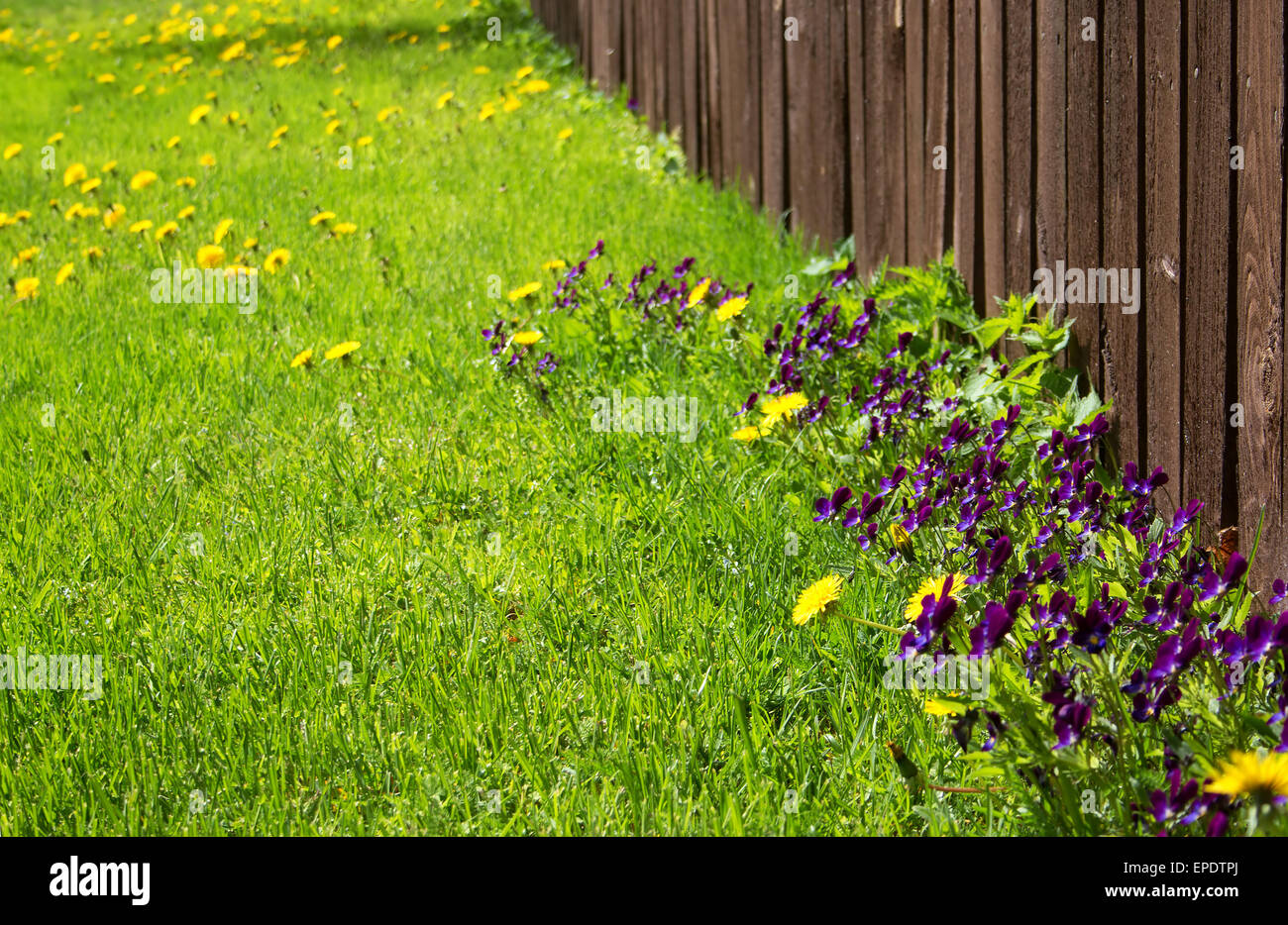 Wood Fence Flowers High Resolution Stock Photography and Images - Alamy