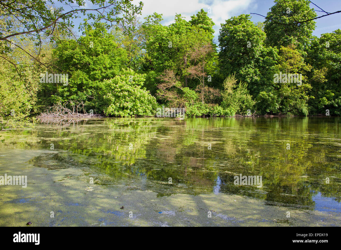 Wanstead hires stock photography and images Alamy