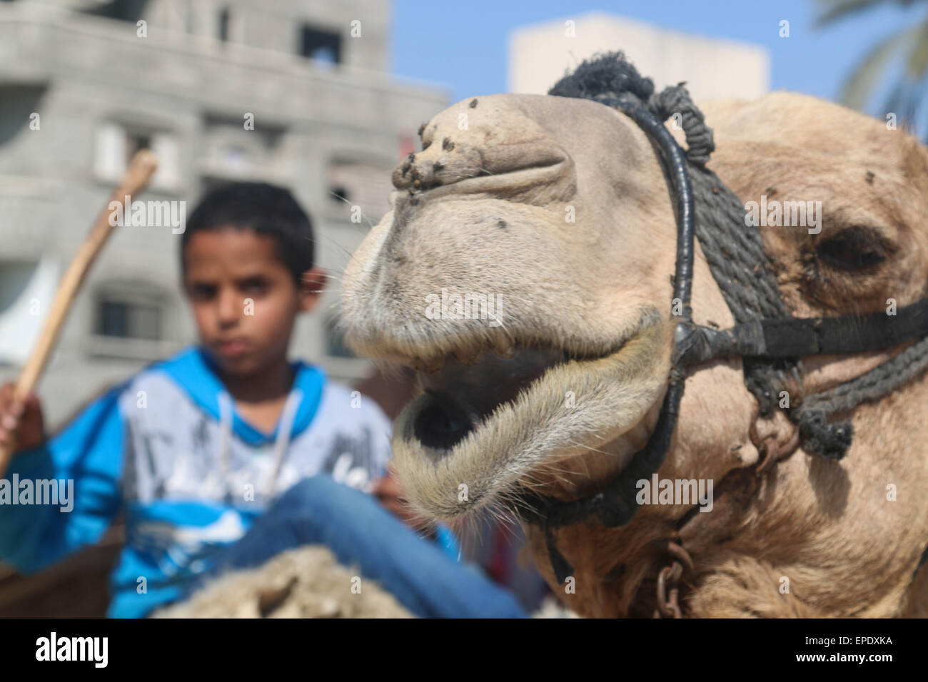 Nuseirat Refugee Camp, The Gaza Strip, Palestine. 17th May, 2015 ...