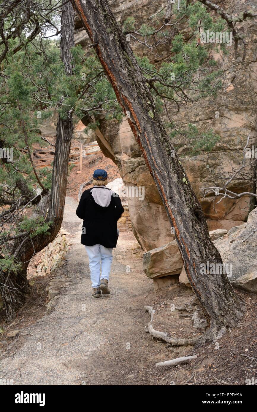 Senior Citizen hiking Mesa Loop Trail el Morro National Monument New Mexico - USA Stock Photo