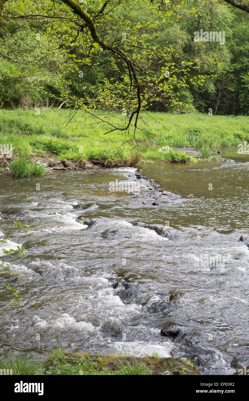 River Ourthe in the neighborhood of Houffalize in the Ardennes, Belgium Stock Photo