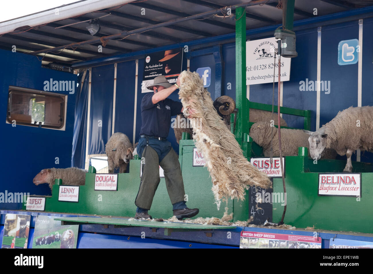 The Sheep Show featuring different breeds of sheep Stock Photo Alamy