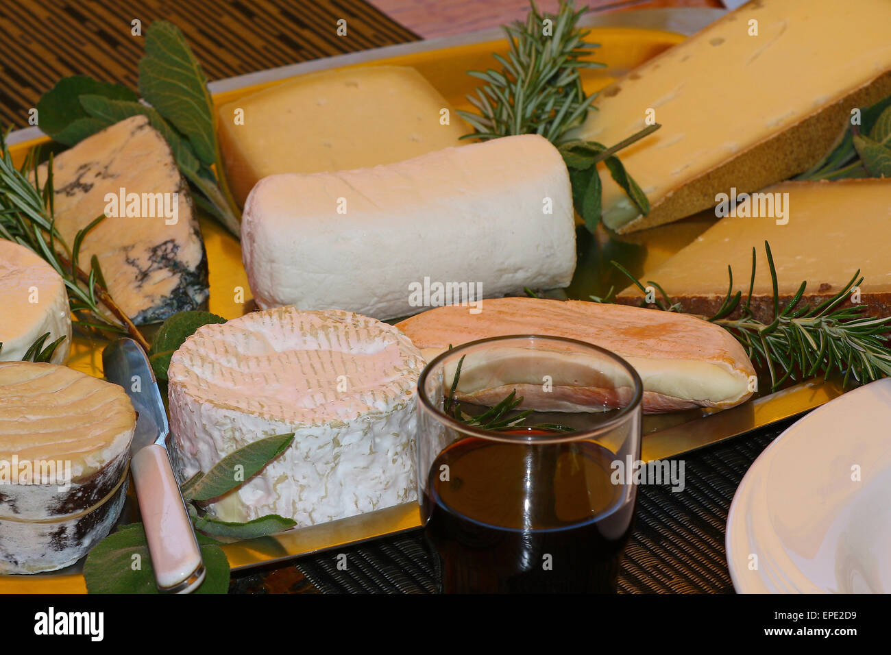 Assortment of various kinds of hard and soft cheese with basil decorations Stock Photo