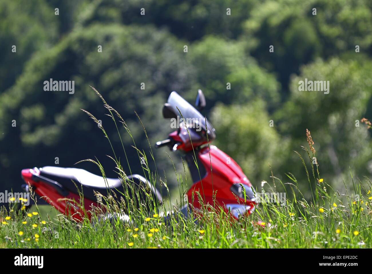 Wild grass with red scooter in the background Stock Photo