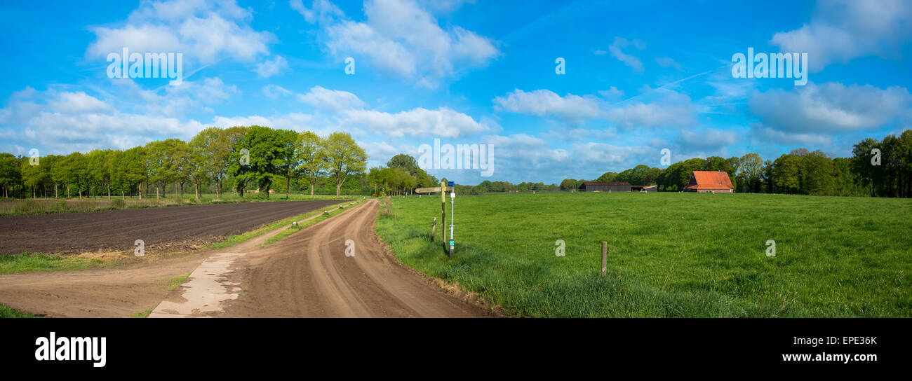 panorama of farm, fields and dirt road of ratum achterhoek holland Stock Photo