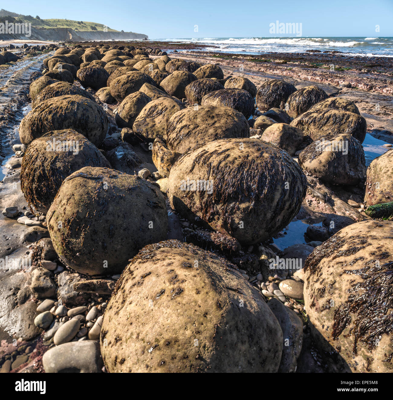Bowling Ball Beach on California's Mendocino Coast Stock Photo Alamy