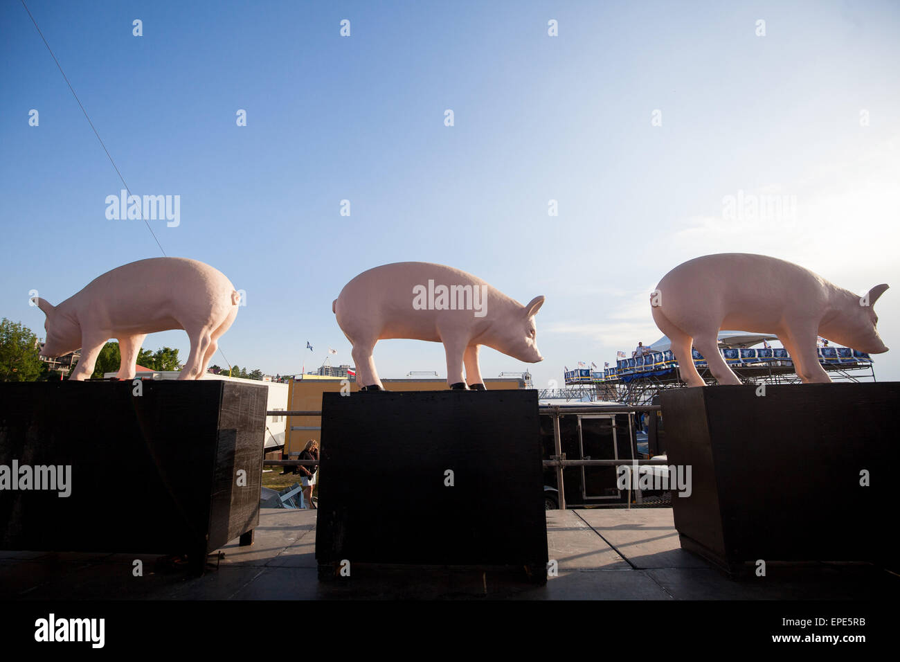 Memphis, Tennessee, USA. 14th May, 2015. Pig statues line the main