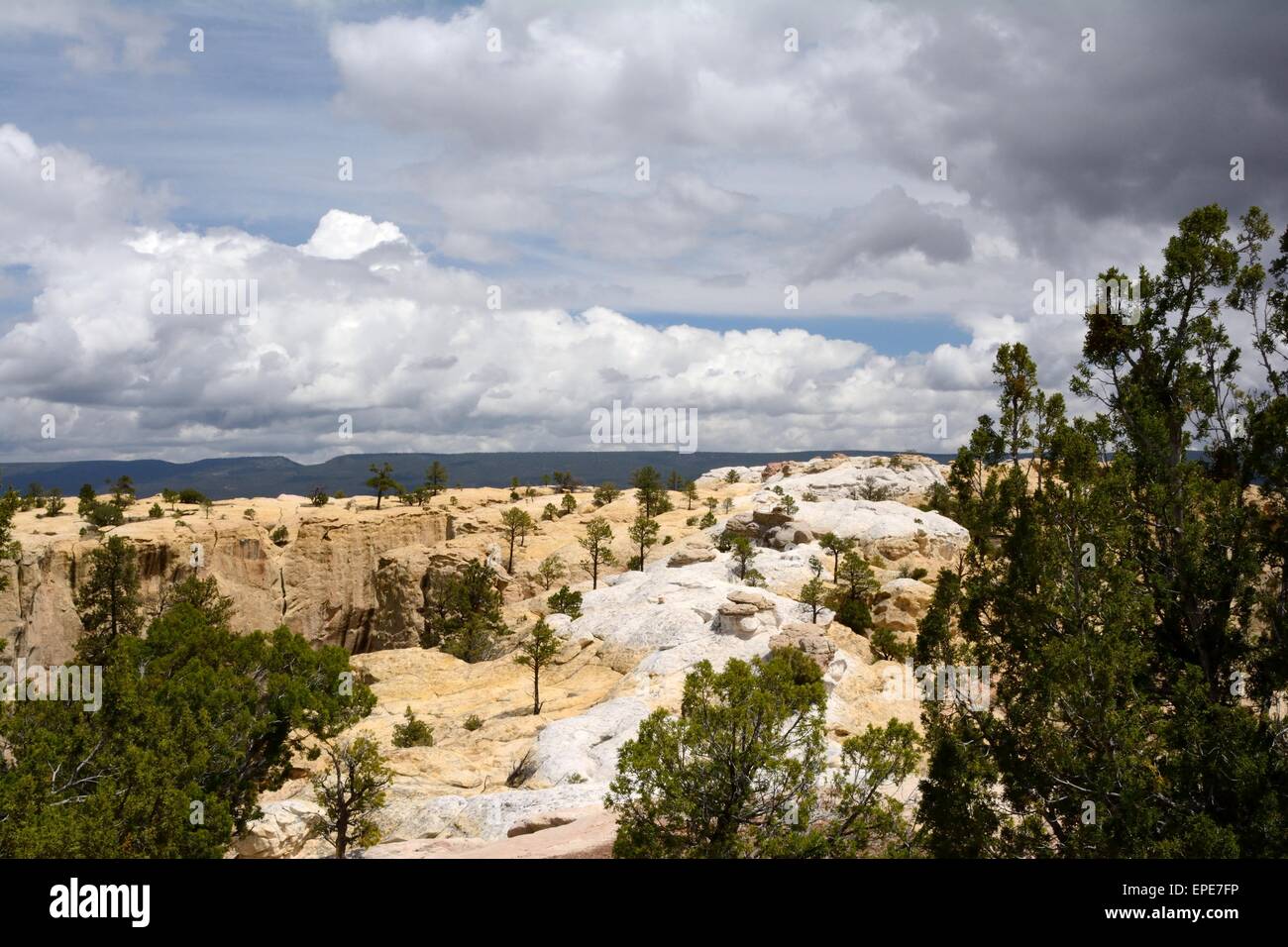 Scenic view across mesa at El Morro National Monument New Mexico - USA Stock Photo