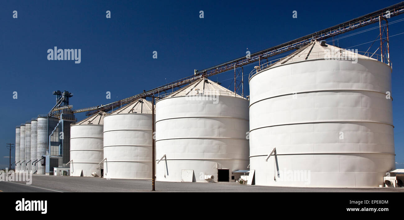 https://c8.alamy.com/comp/EPE8DM/rice-storage-silos-in-the-central-valley-of-california-EPE8DM.jpg
