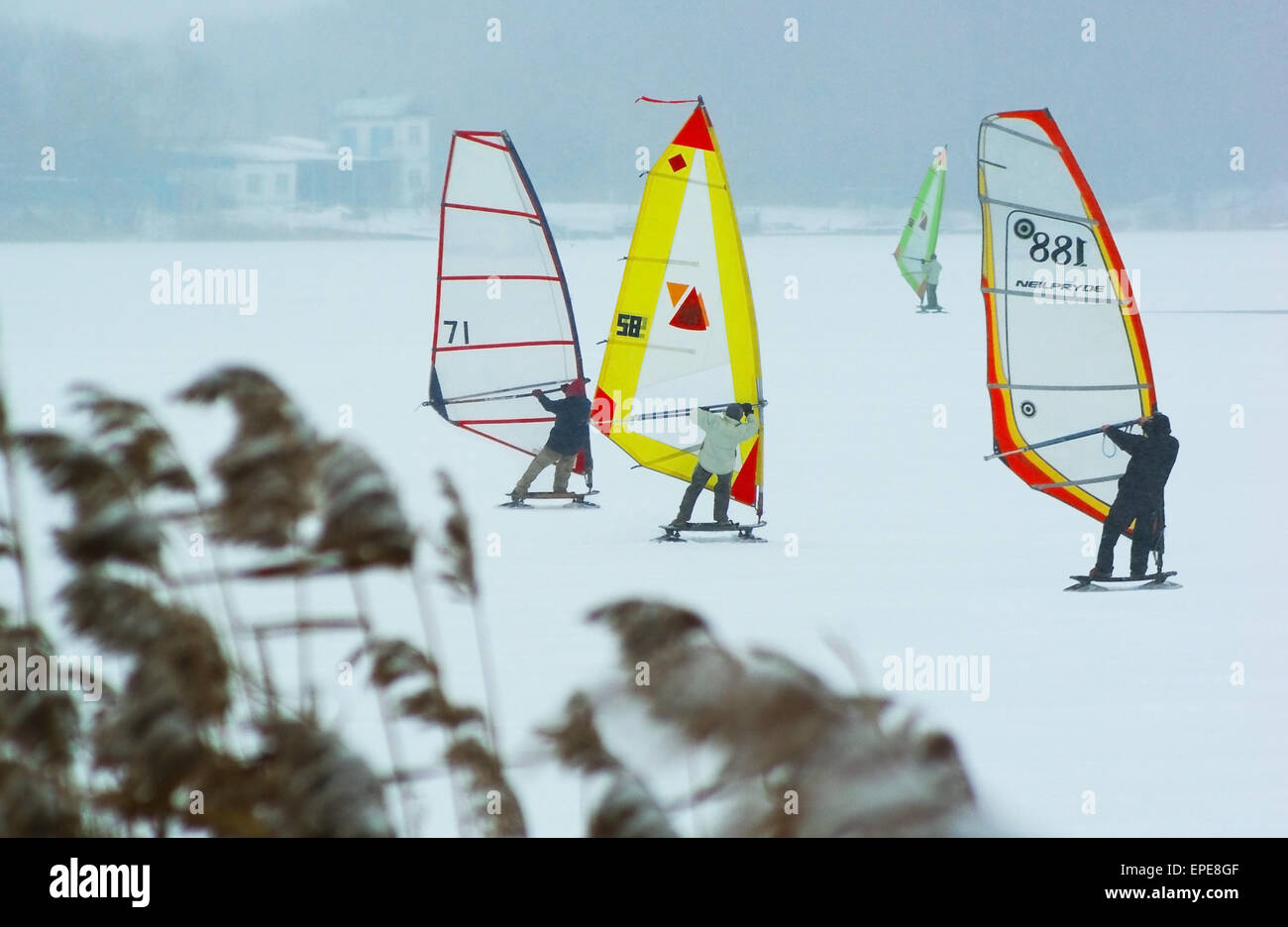 Winter sport-Windsurfing. Stock Photo