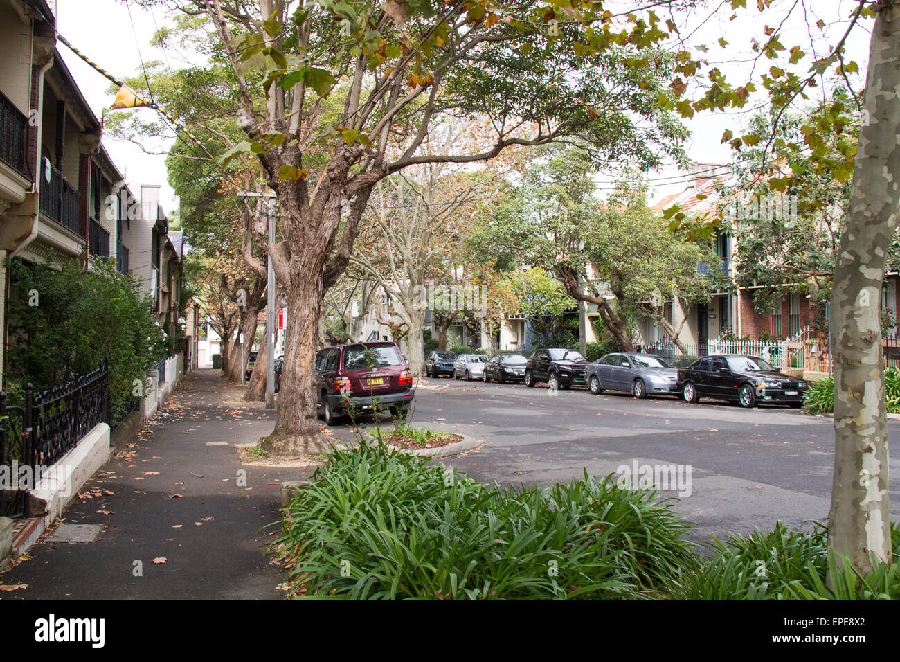 Terraced houses on Richards Avenue, Surry Hills in Sydney, Australia. Stock Photo