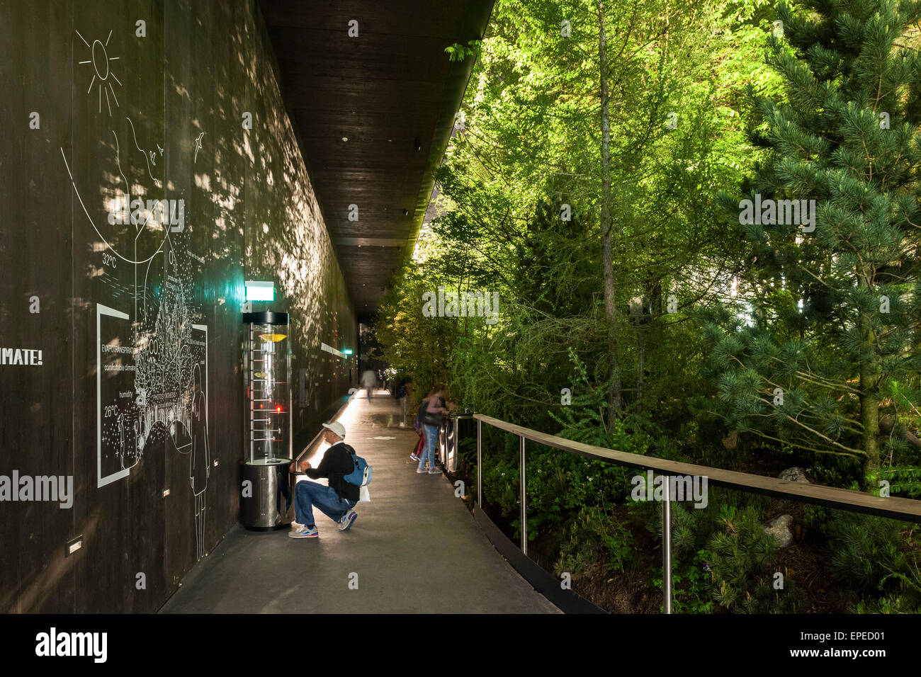 Facade perspective with graphics and view of forest. Milan Expo 2015, Austrian Pavilion, Milan, Italy. Architect: team.breathe.a Stock Photo