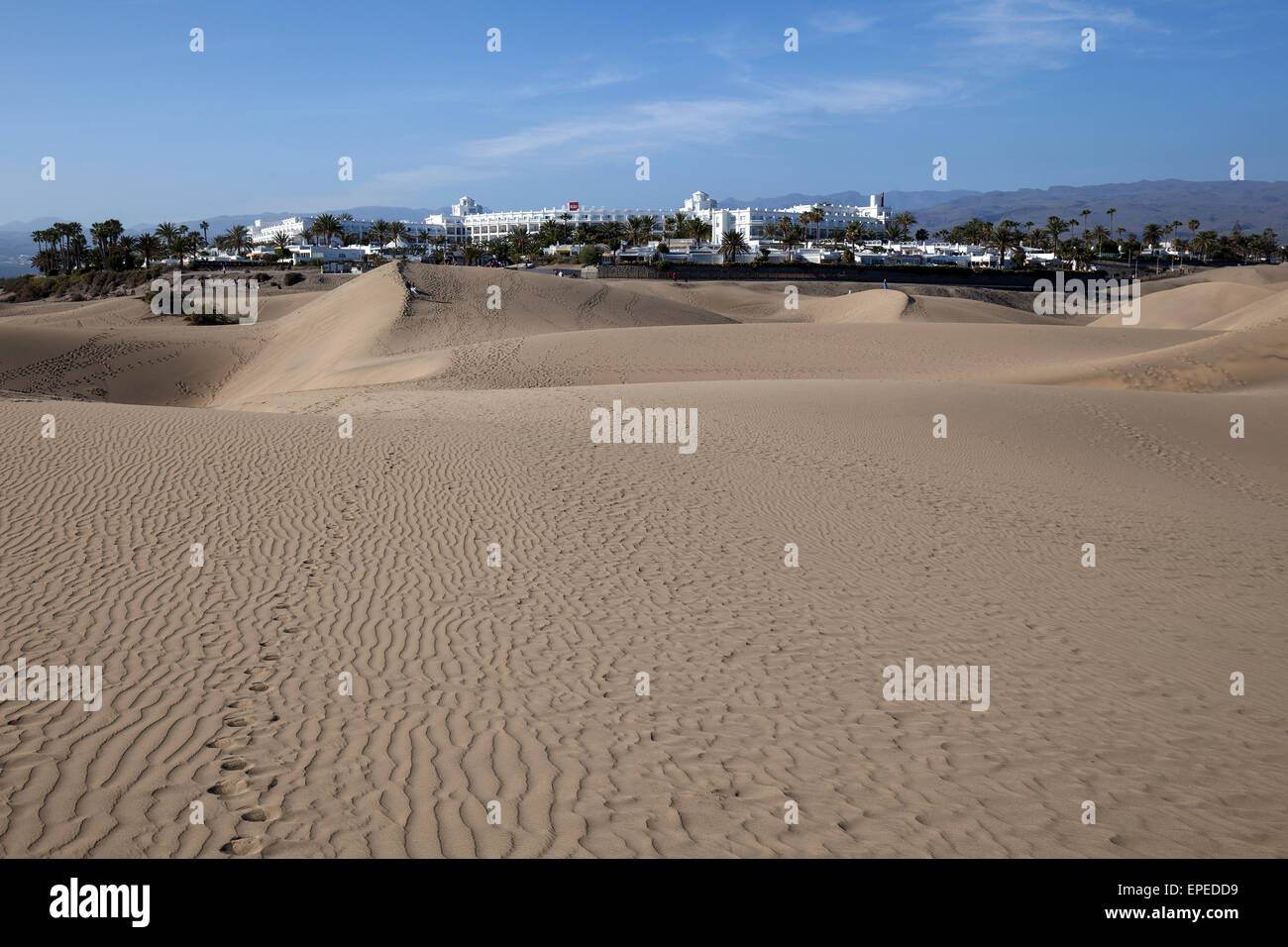 Dunes, Maspalomas Dunes Nature Reserve, the RIU Hotel behind, Gran Canaria, Canary Islands, Spain Stock Photo