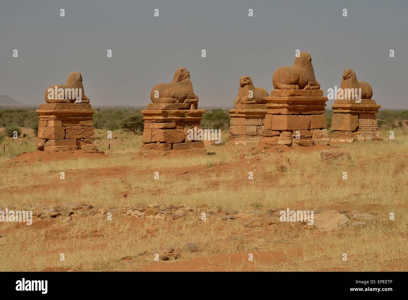 Ram sphinxes in front of the Temple of Amun of Naga, Nubia, Nahr an-Nil, Sudan Stock Photo