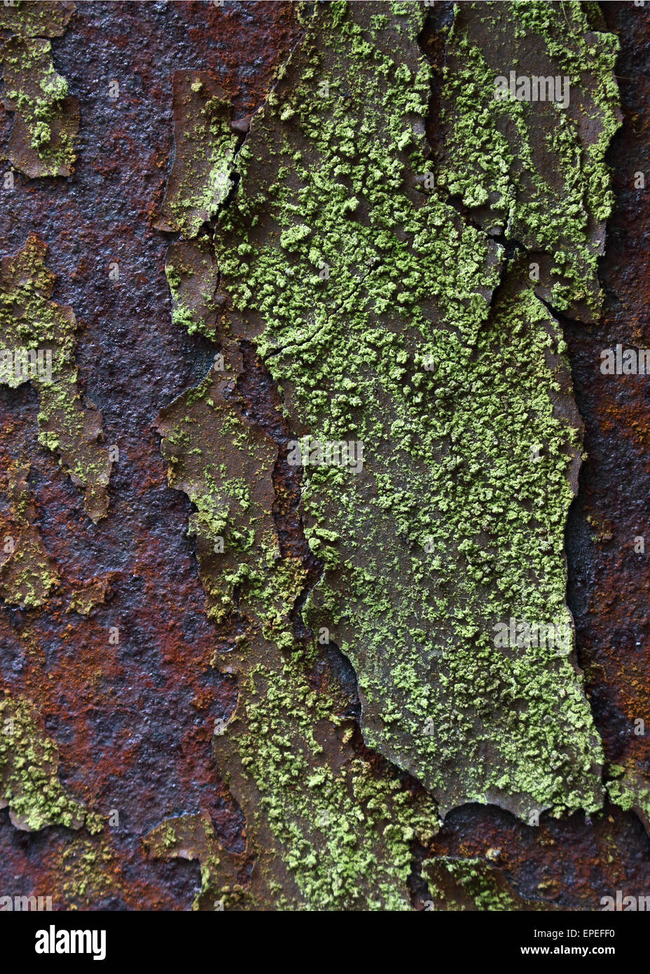 Rust and lichen on an old iron railway bridge in keswick england Stock Photo