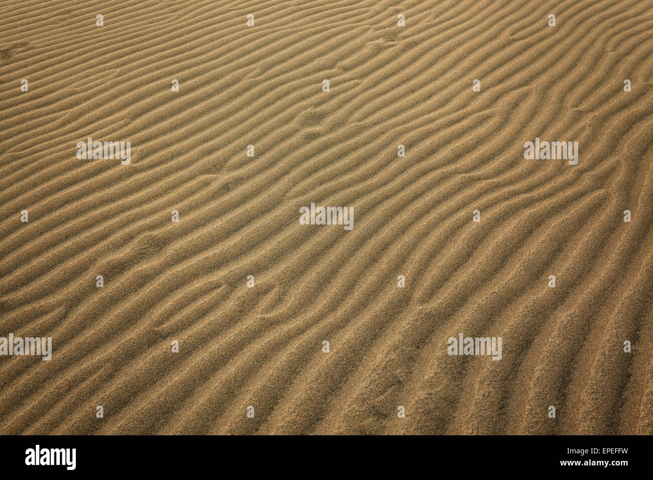 Wavy structures in the sand, dunes of Maspalomas, Nature Reserve, Gran Canaria, Canary Islands, Spain Stock Photo