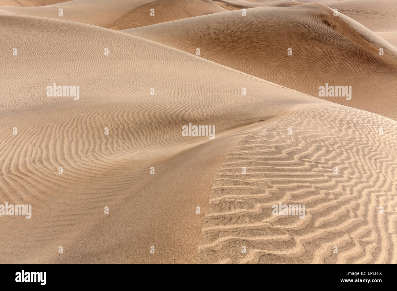 Dunes, Maspalomas Dunes Nature Reserve, Gran Canaria, Canary Islands, Spain Stock Photo