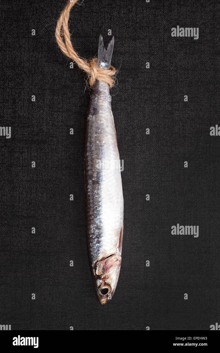 Fresh sardine fish hanging on lace against black background. Culinary