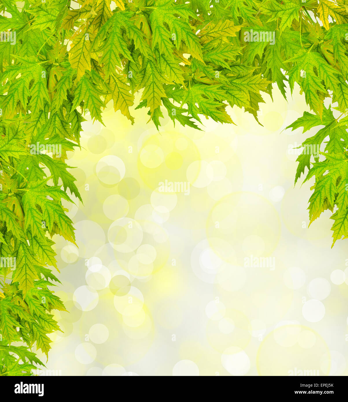 Blur background green park hi-res stock photography and images - Alamy