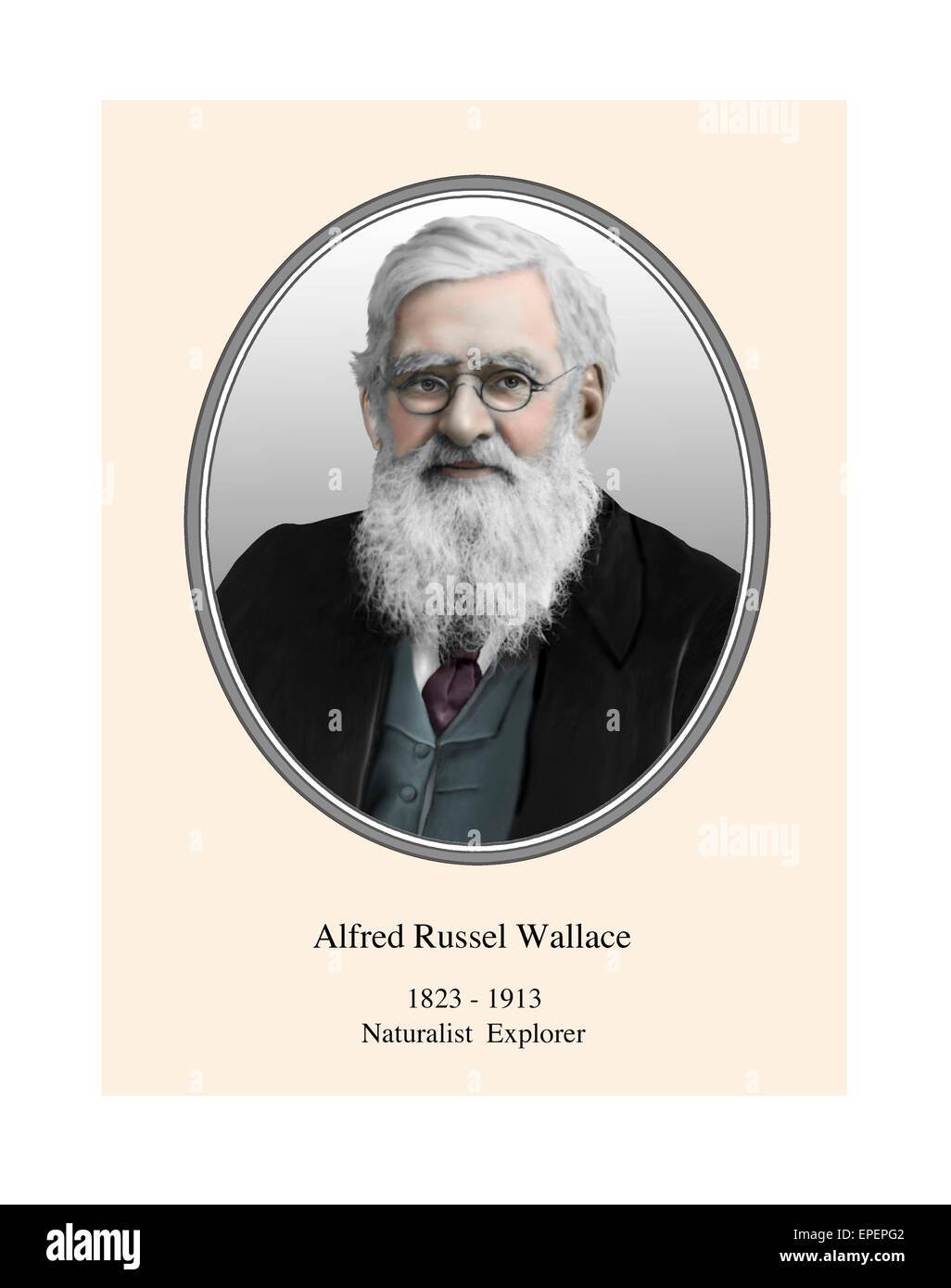 Alfred Russel Wallace Naturalist Explorer Modern Illustration Portrait Stock Photo