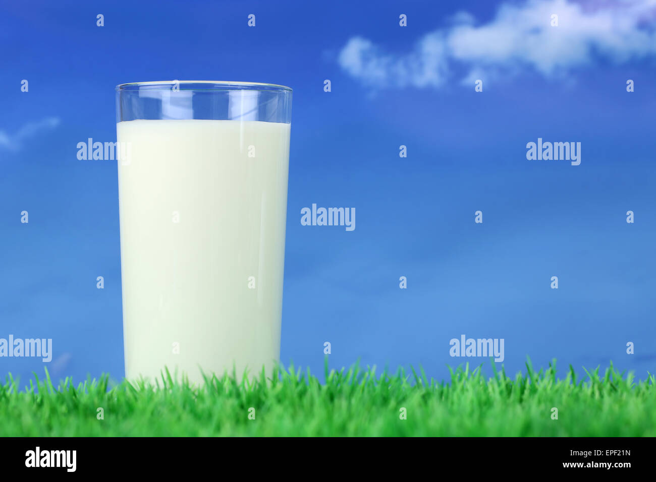 Glas Milch auf einer Wiese mit Textfreiraum Stock Photo