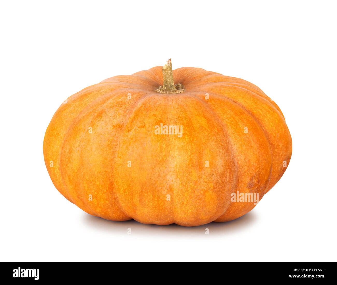 Big yellow pumpkin on a white isolated background Stock Photo - Alamy