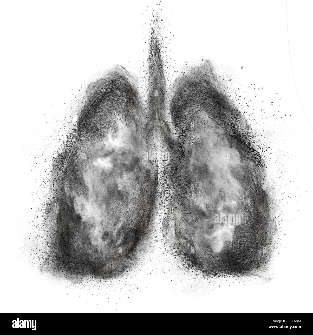 Lungs made of black powder explosion isolated on white Stock Photo