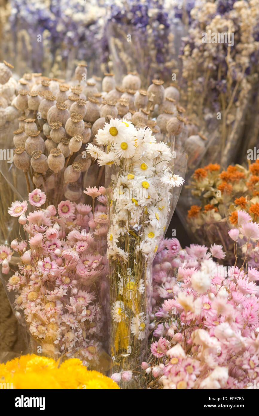 Dried flowers historic hi-res stock photography and images - Alamy