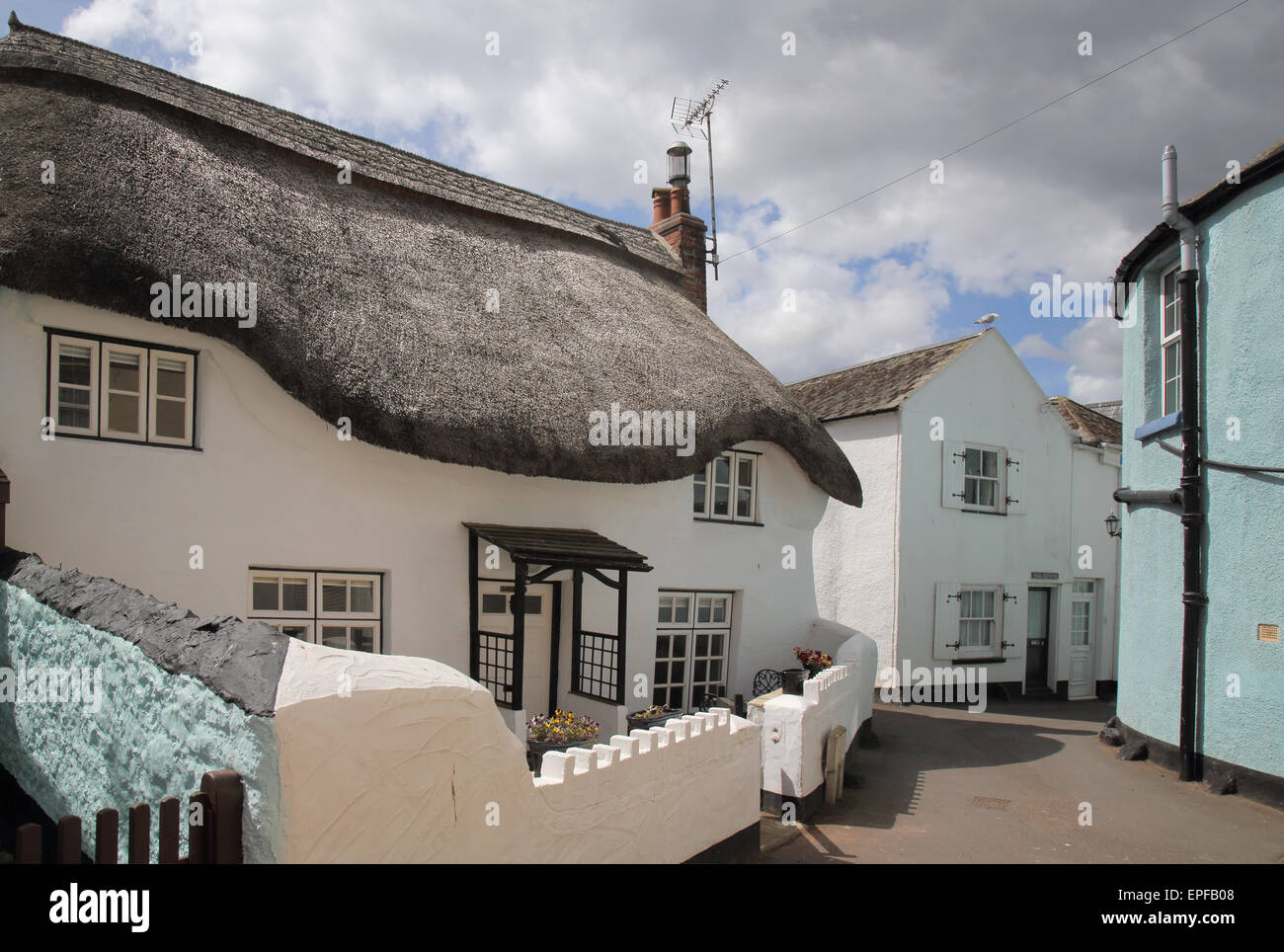 Shaldon Stock Photos Shaldon Stock Images Alamy