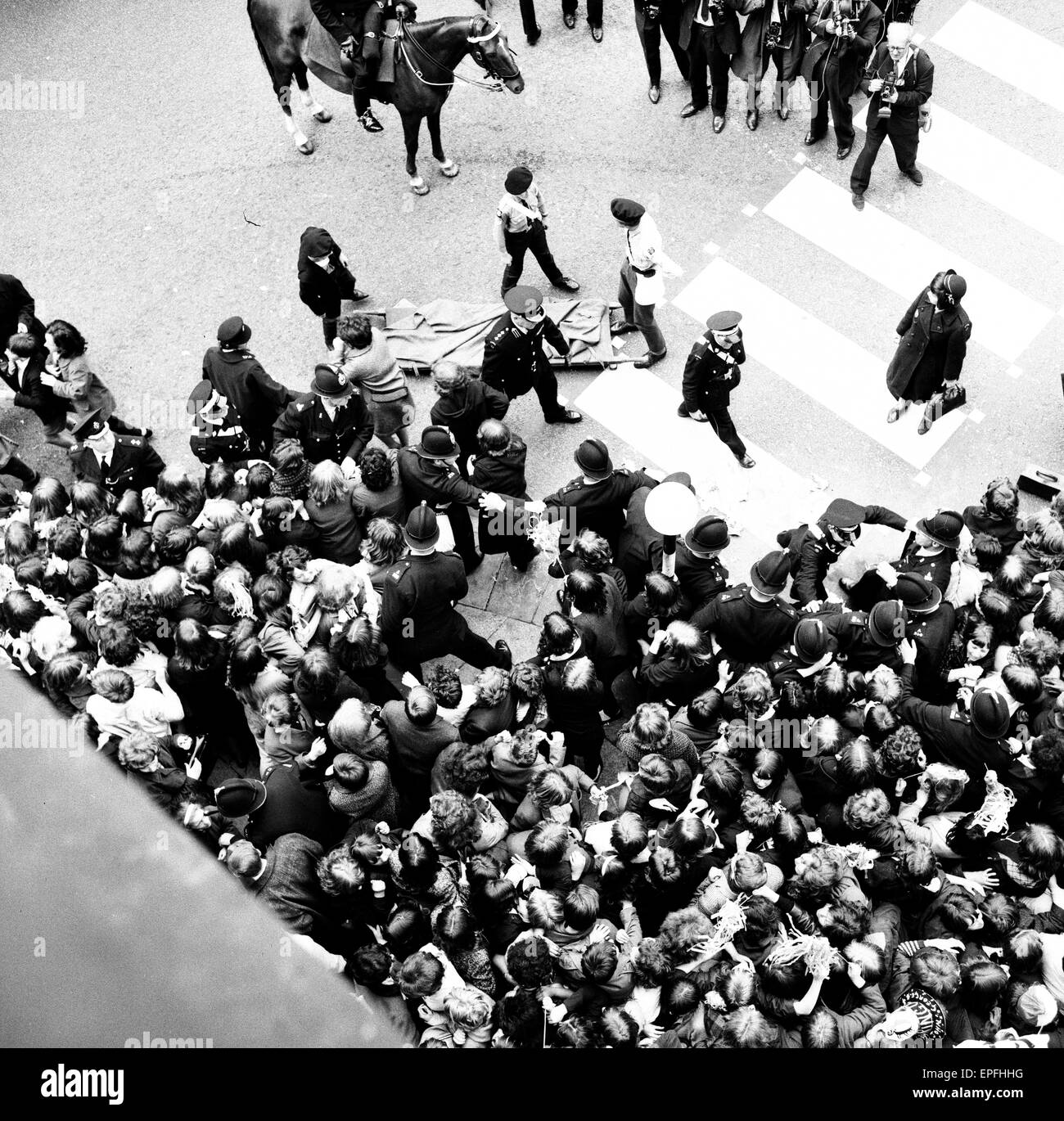 Night crowds. Night crowds