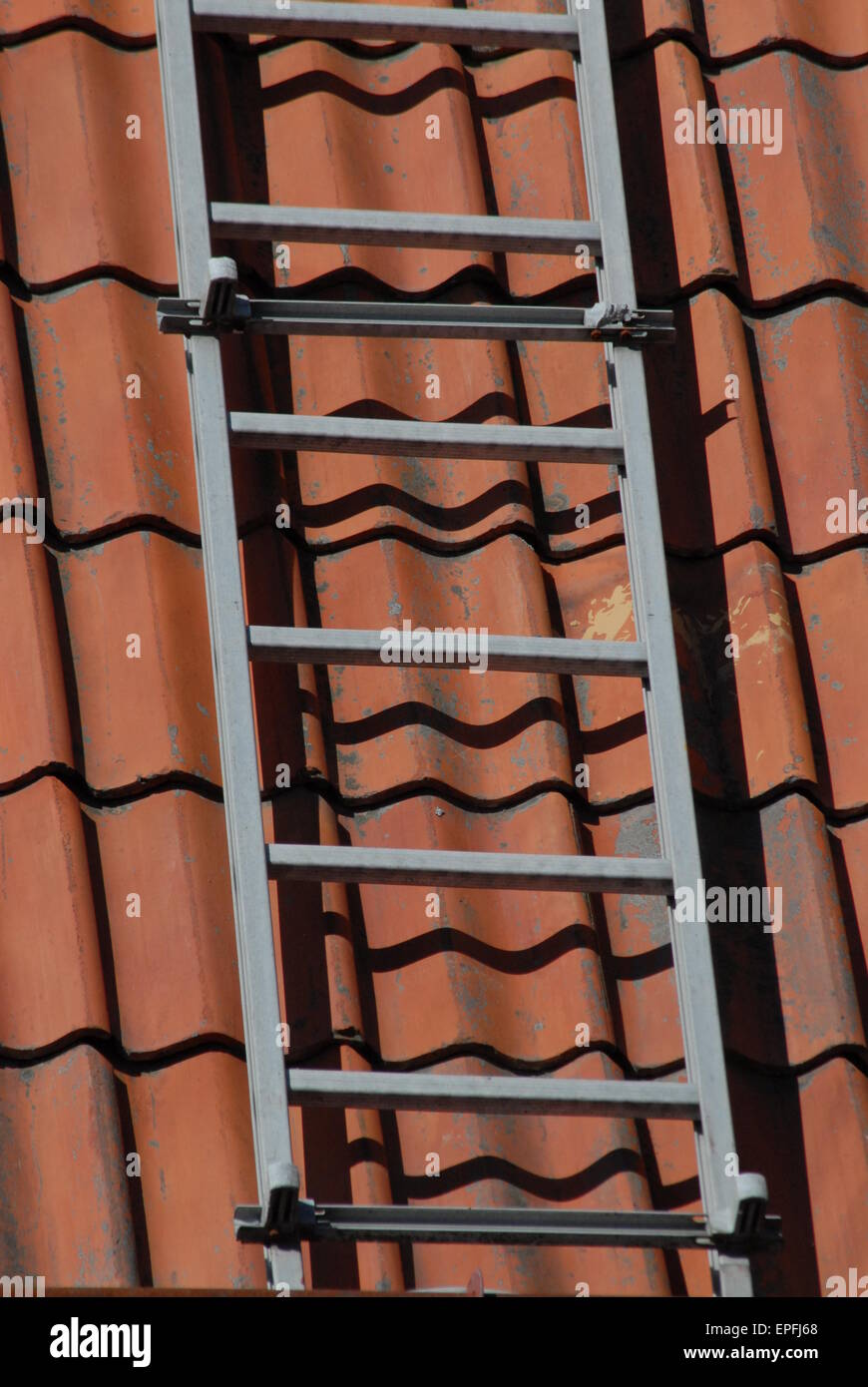 Rooftop ladder. Stock Photo