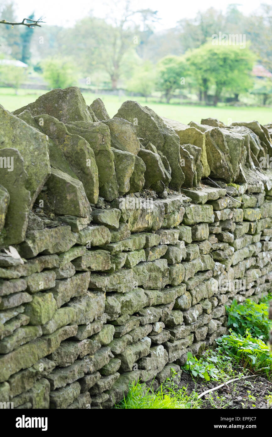 A well maintained typical Cotswold-style dry stone wall around a field on the outskirts of Cirencester, Gloucestershire, England UK Stock Photo