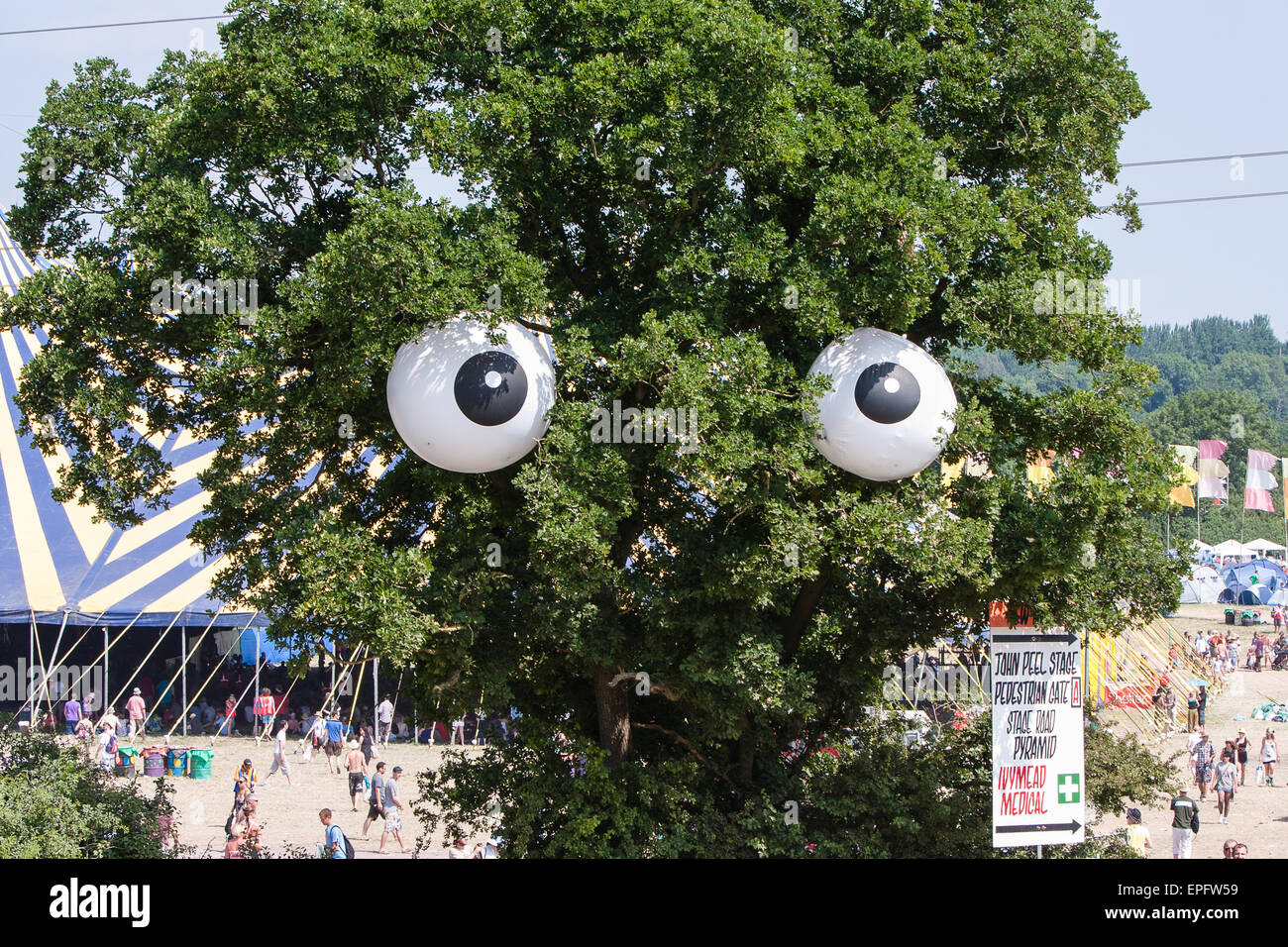 At Glastonbury Festival. Somerset, England. June.Note eyes in tree