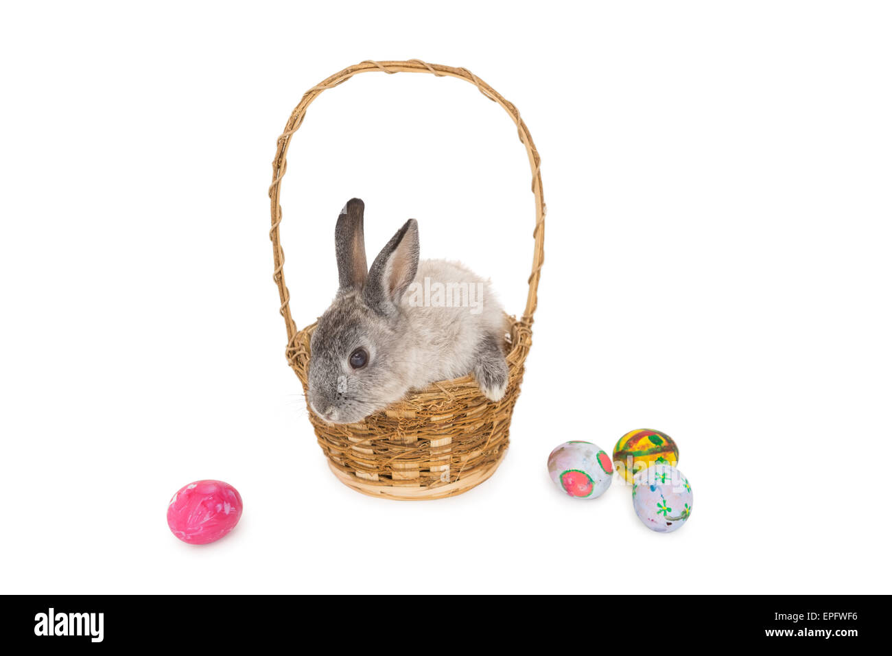 Bunny rabbit sitting on the basket with easter eggs Stock Photo - Alamy