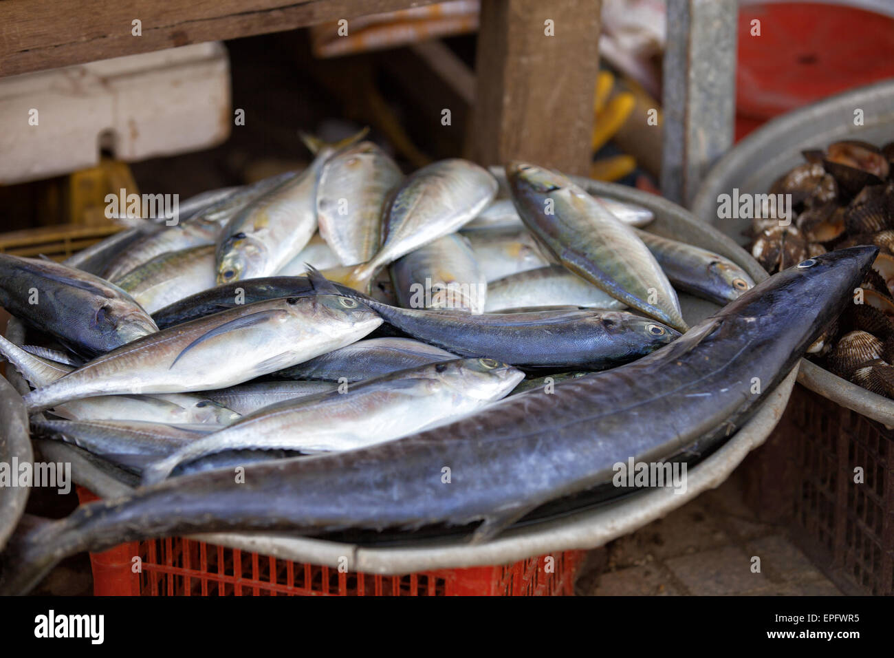 Traditional asian fish market Stock Photo Alamy