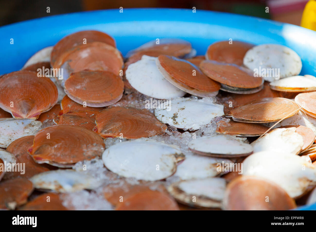 Traditional asian fish market Stock Photo Alamy