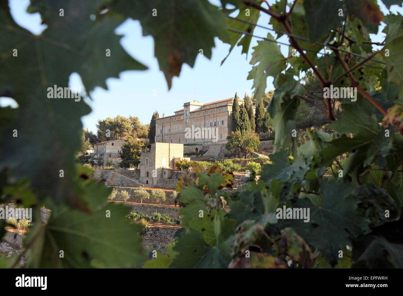 Vineyard of the Cremisan Winery operated and managed by the Salesian Don Bosco Congregation. Beit Jala near Bethlehem, Palestine Stock Photo