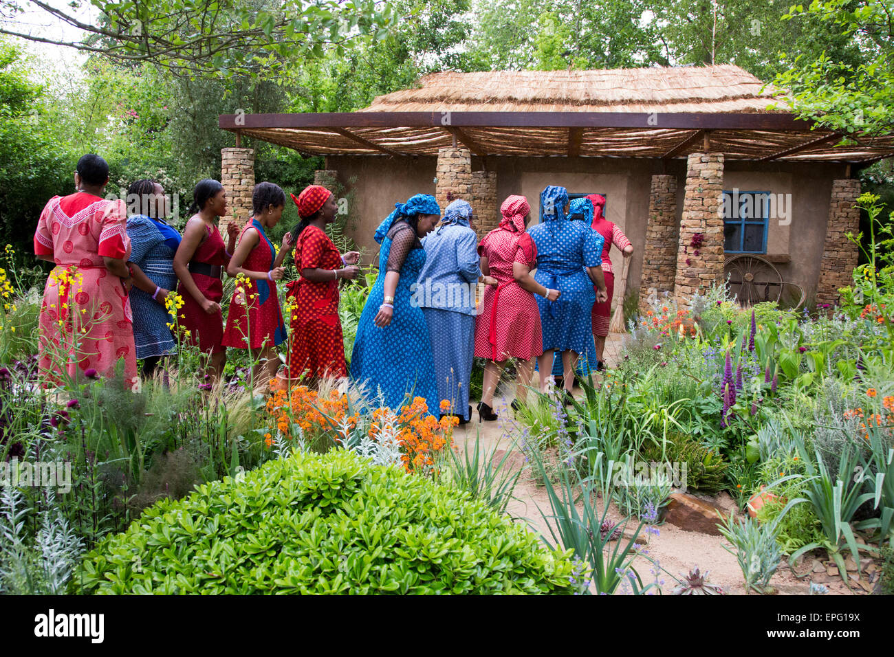 London, UK. 18 May 2015. A cheerful performance despite the bad weather from the Basotho Diaspora Choir at the Sentebale - Hope in Vulnerability show garden.  Press Day at the RHS Chelsea Flower Show. Credit:  Nick Savage/Alamy Live News Stock Photo